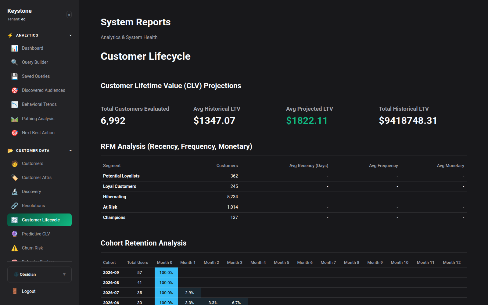 Customer Lifecycle & RFM Matrix