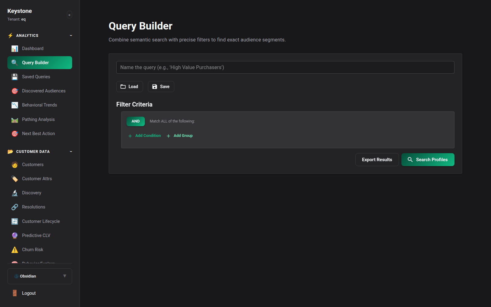 Visual Query Builder Interface