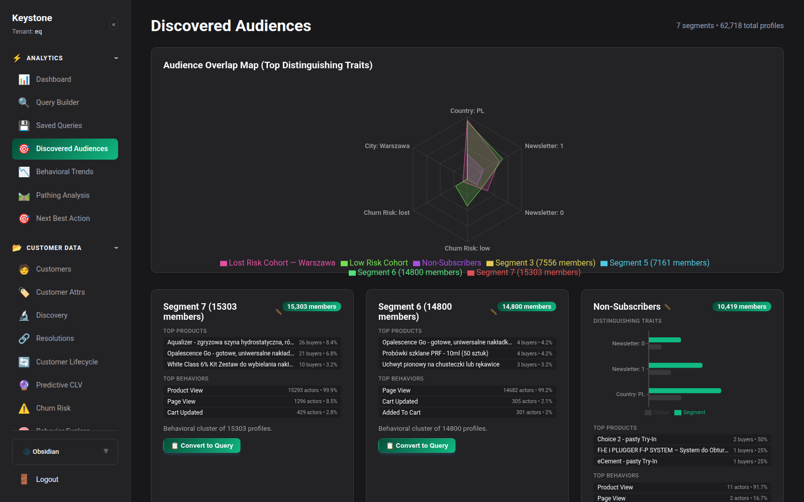 Discovered Audiences Overview