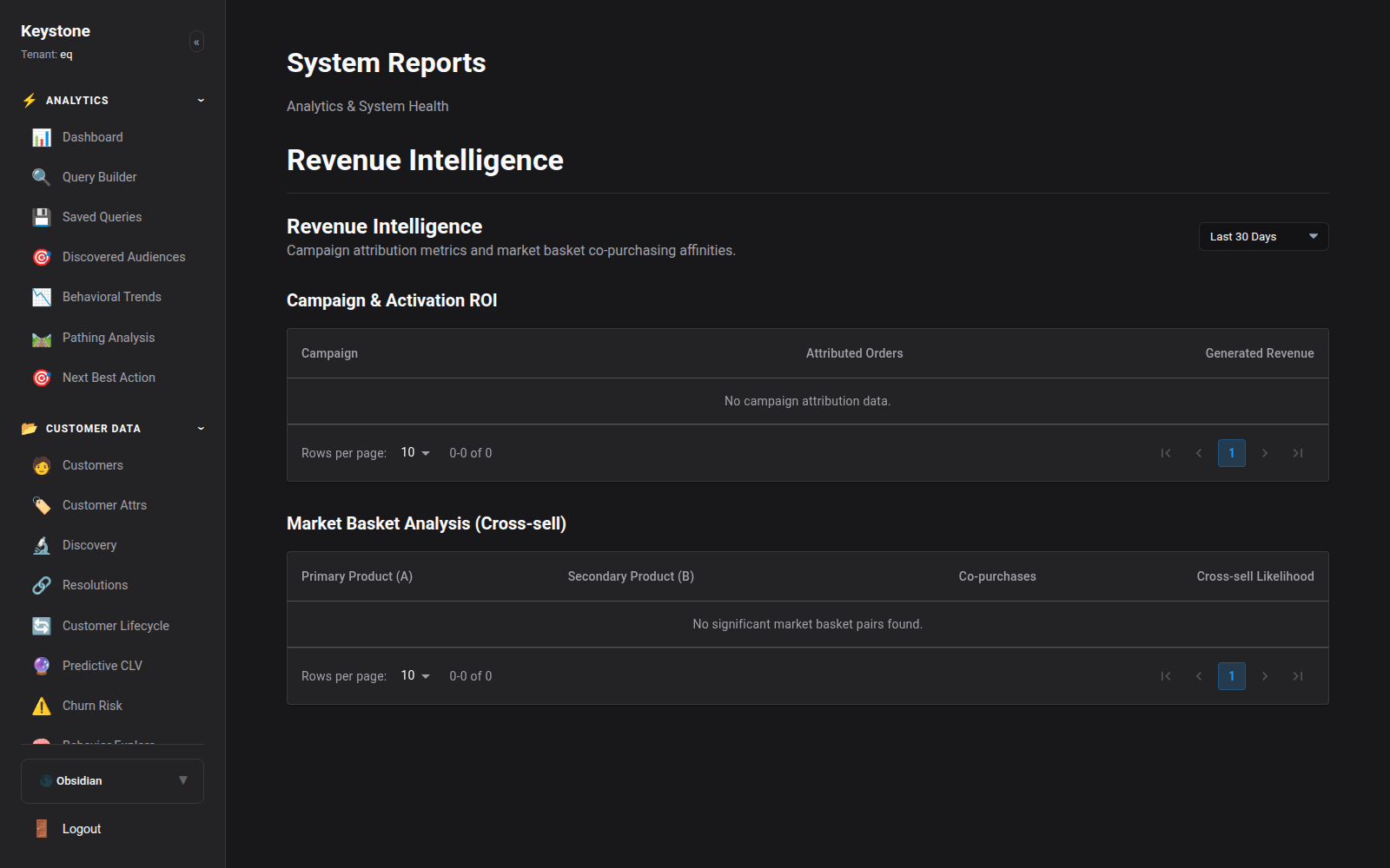 Revenue Intelligence Overview